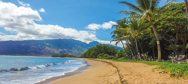 hawaiiheader