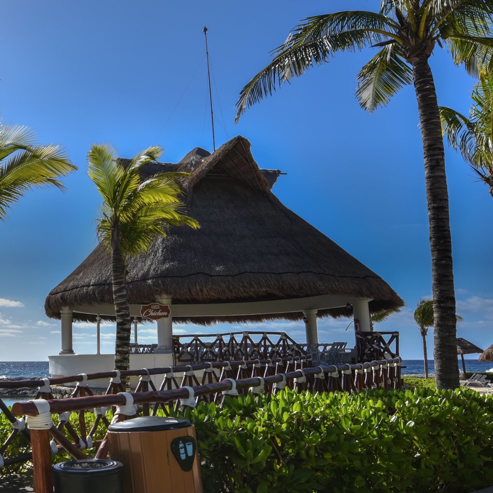 Thatched-roof beachside pavilion ideal for a destination wedding, with palm trees and ocean views.