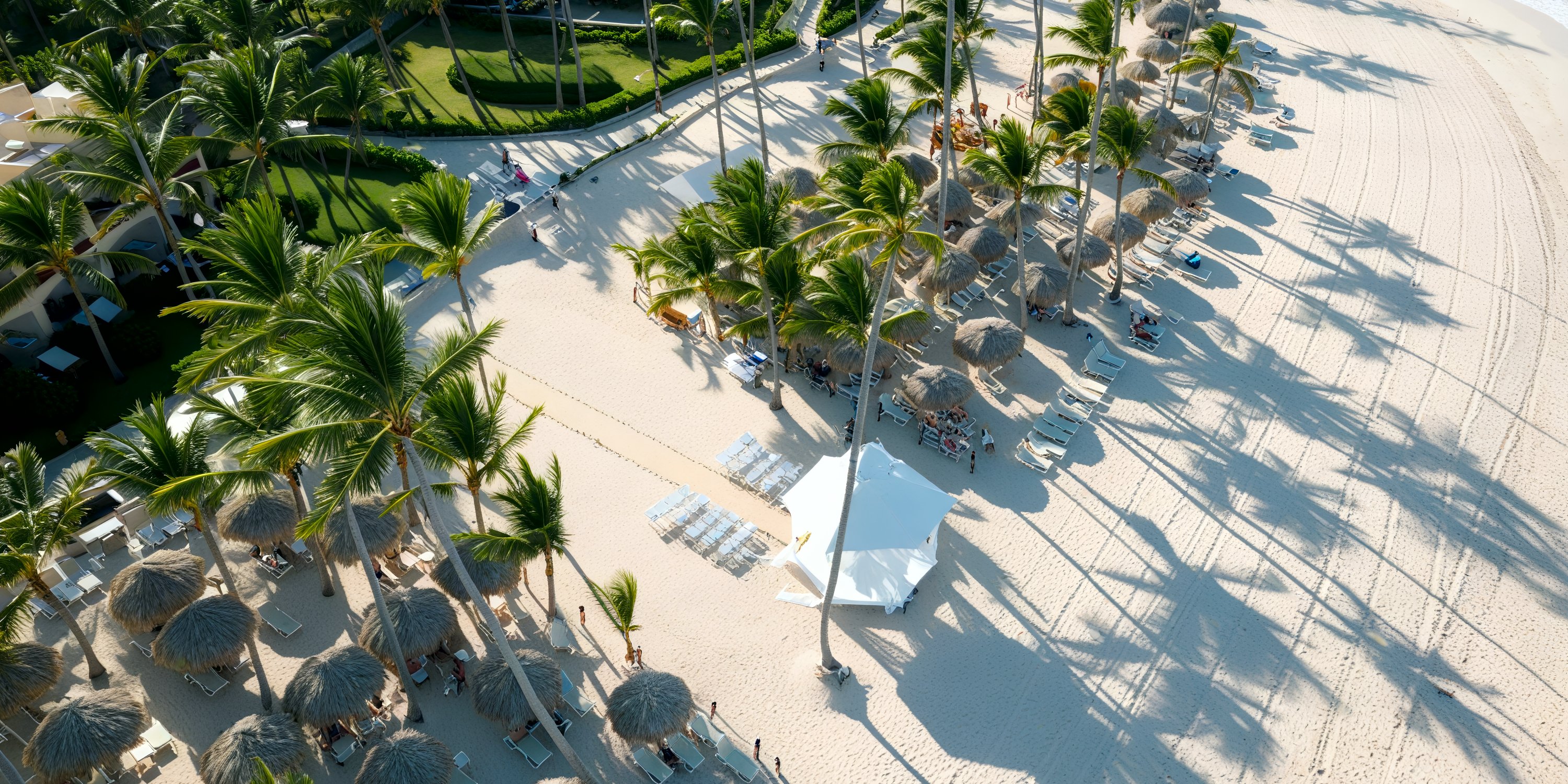 Aerial view of a destination wedding at Majestic Colonial on a sandy beach with palm trees and loungers.