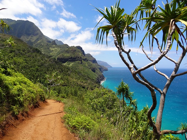 hawaii-trails