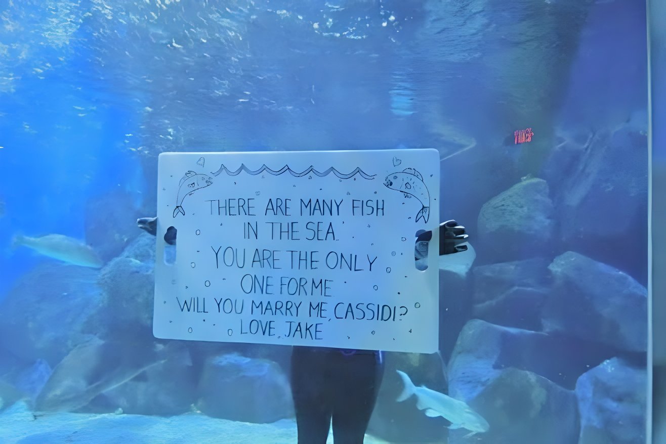 10 unique wedding proposals aquarium diver proposal couple engagement