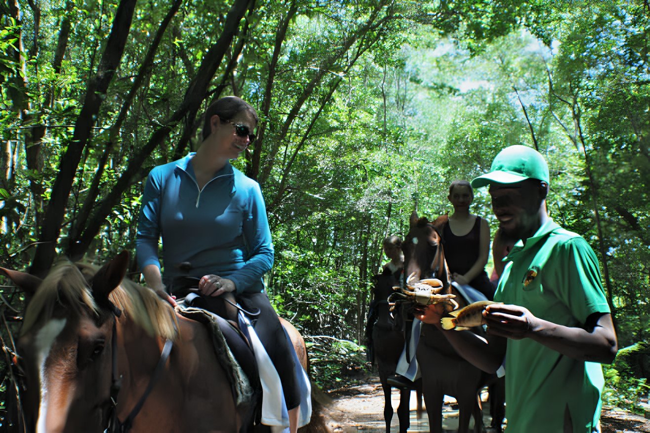 top 5 montego bay wedding excursions destination weddings horse ridding appleton estate jamaica