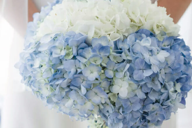 hydrangea beach bouquet trends 9 beautiful destination wedding flower options