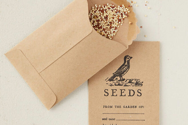 Wedding Favors That Will Dazzle Your Guests garden seeds