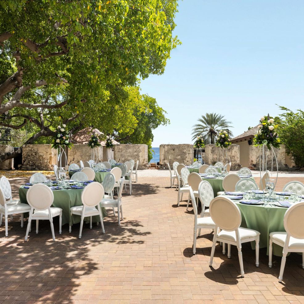 Charming wedding outdoor dining area with round tables, green tablecloths, and white chairs under trees.