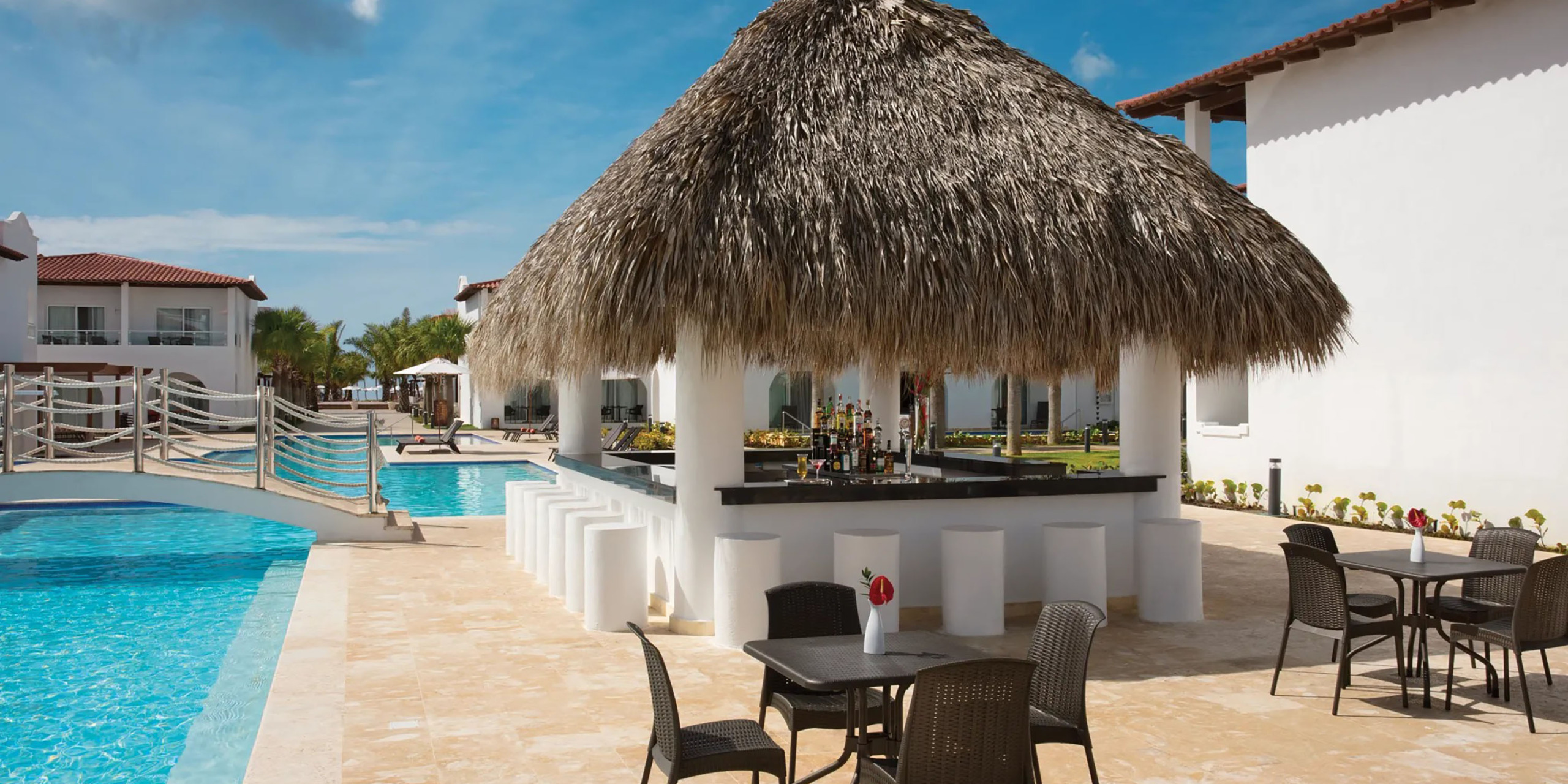 Dreams Dominicus3gal