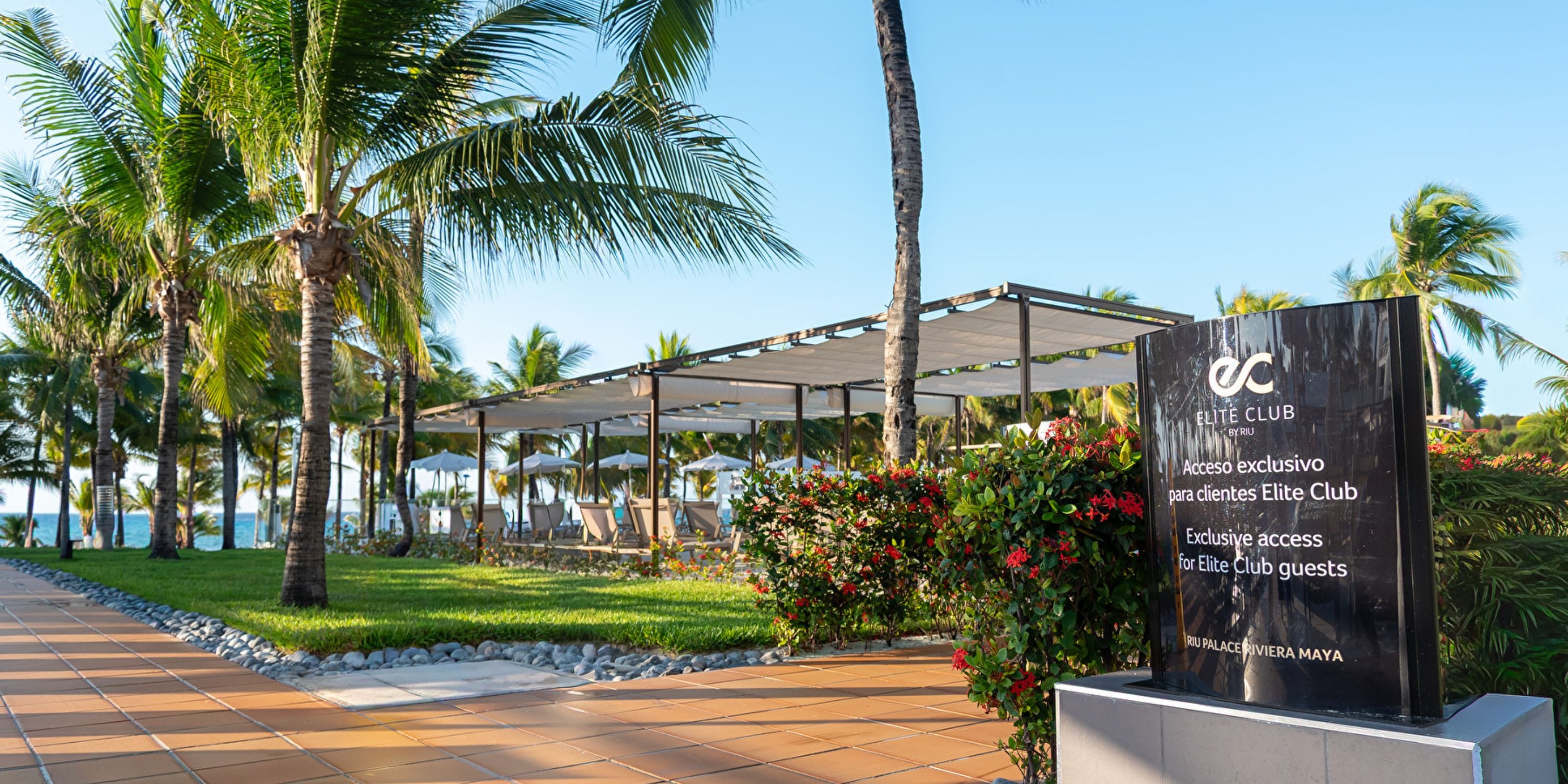 Shaded lounge with palms and Elite Club sign, perfect for a destination wedding at Hotel Riu Palace.