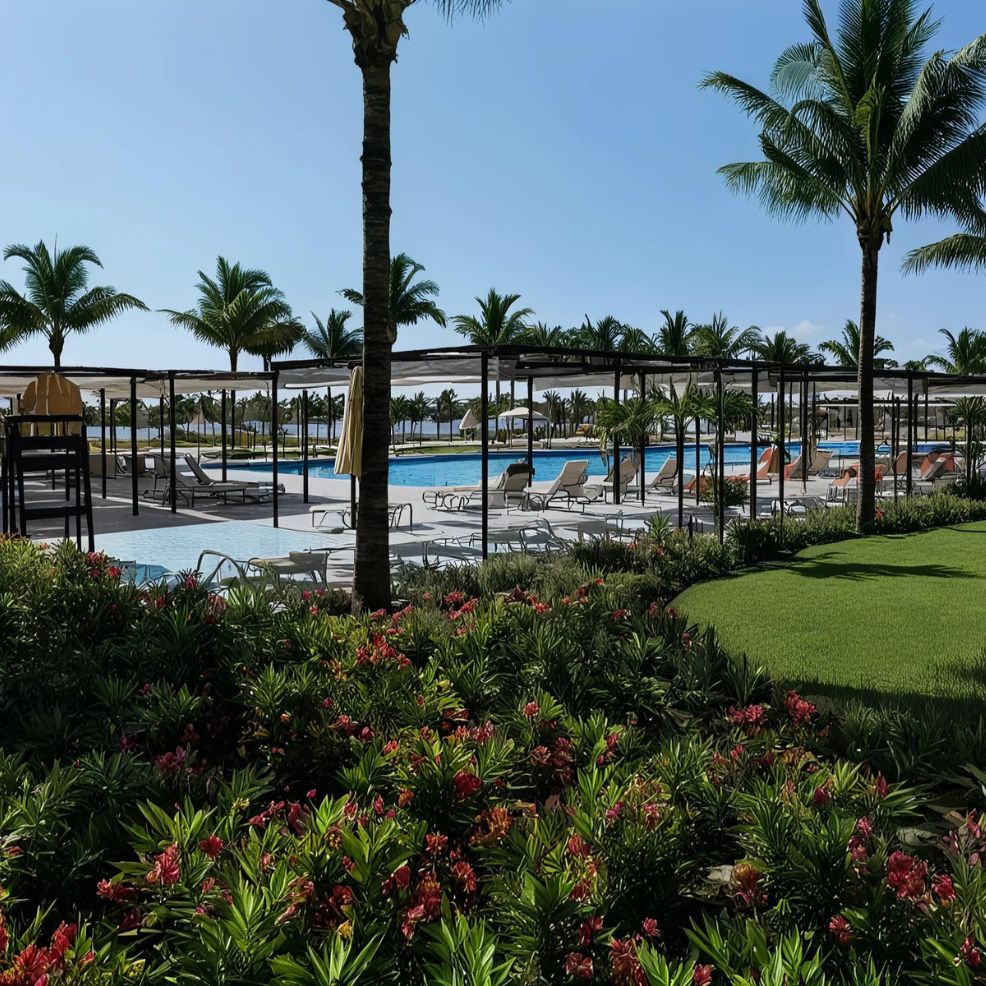 Outdoor pool area with lounge chairs, umbrellas, and palm trees. The foreground features lush greenery and colorful flowers. Clear blue sky in the background.