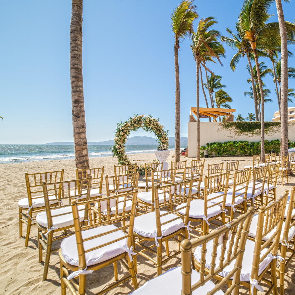 Destination beach wedding setup with rows of gold chairs and floral arch, overlooking the ocean, flanked by palm trees.