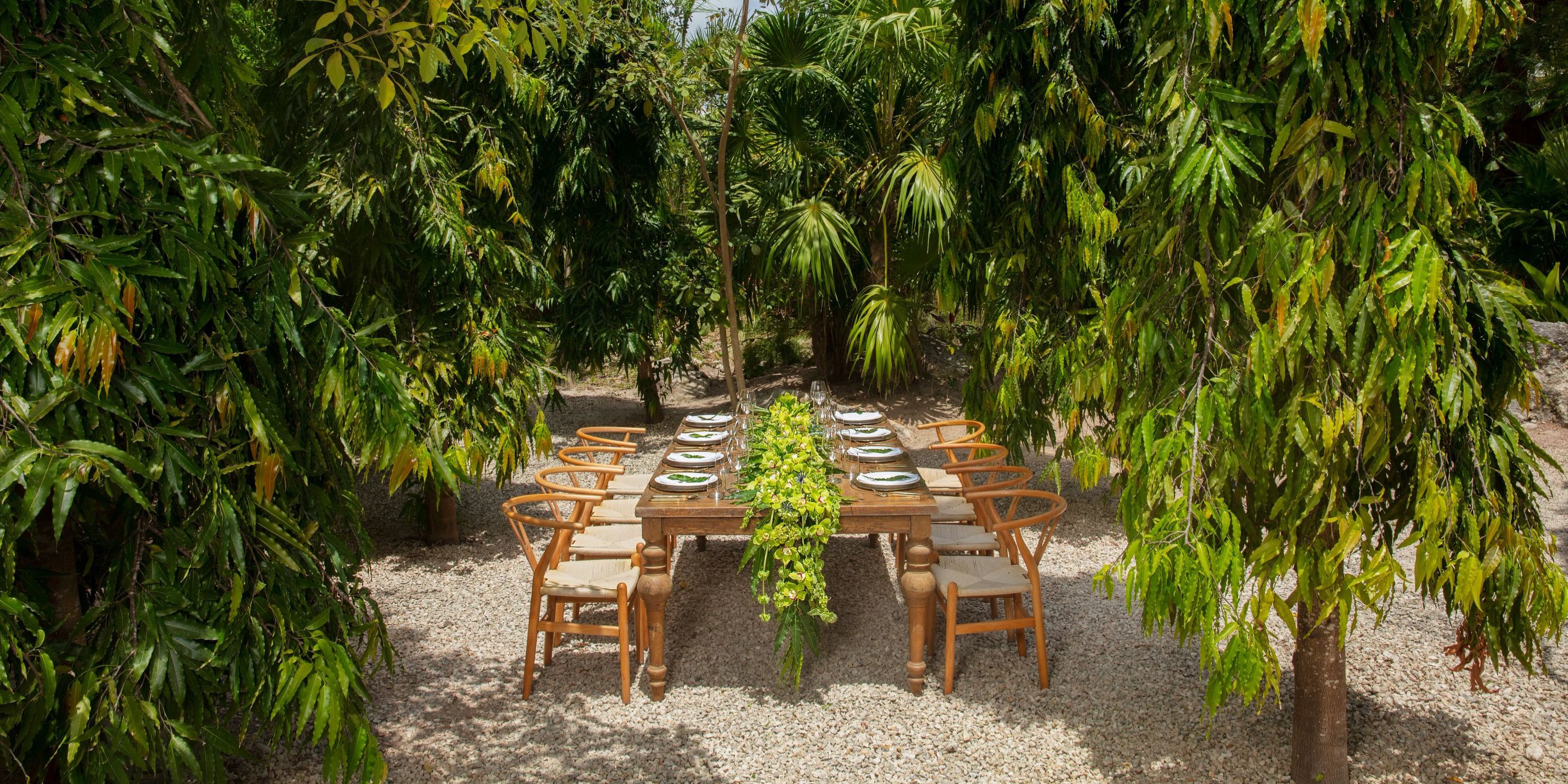 A Secrets Akumal dining set is arranged outdoors for a destination wedding among trees and gravel.