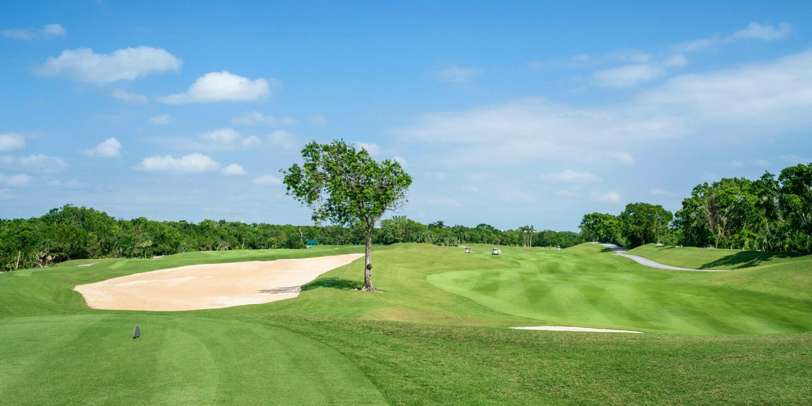 iberostardelmargolf-gallery