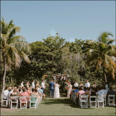 Tropical Destination Wedding Package Breakdown Destify