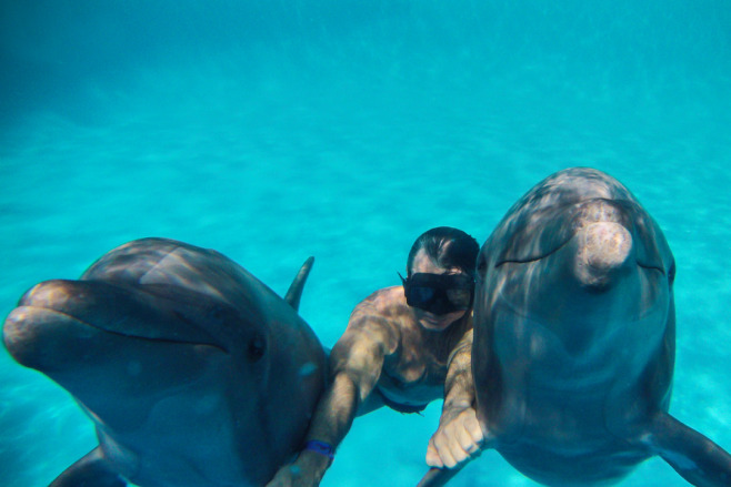 Diving with dolphins at Xel Ha Park on a Cancun excursion