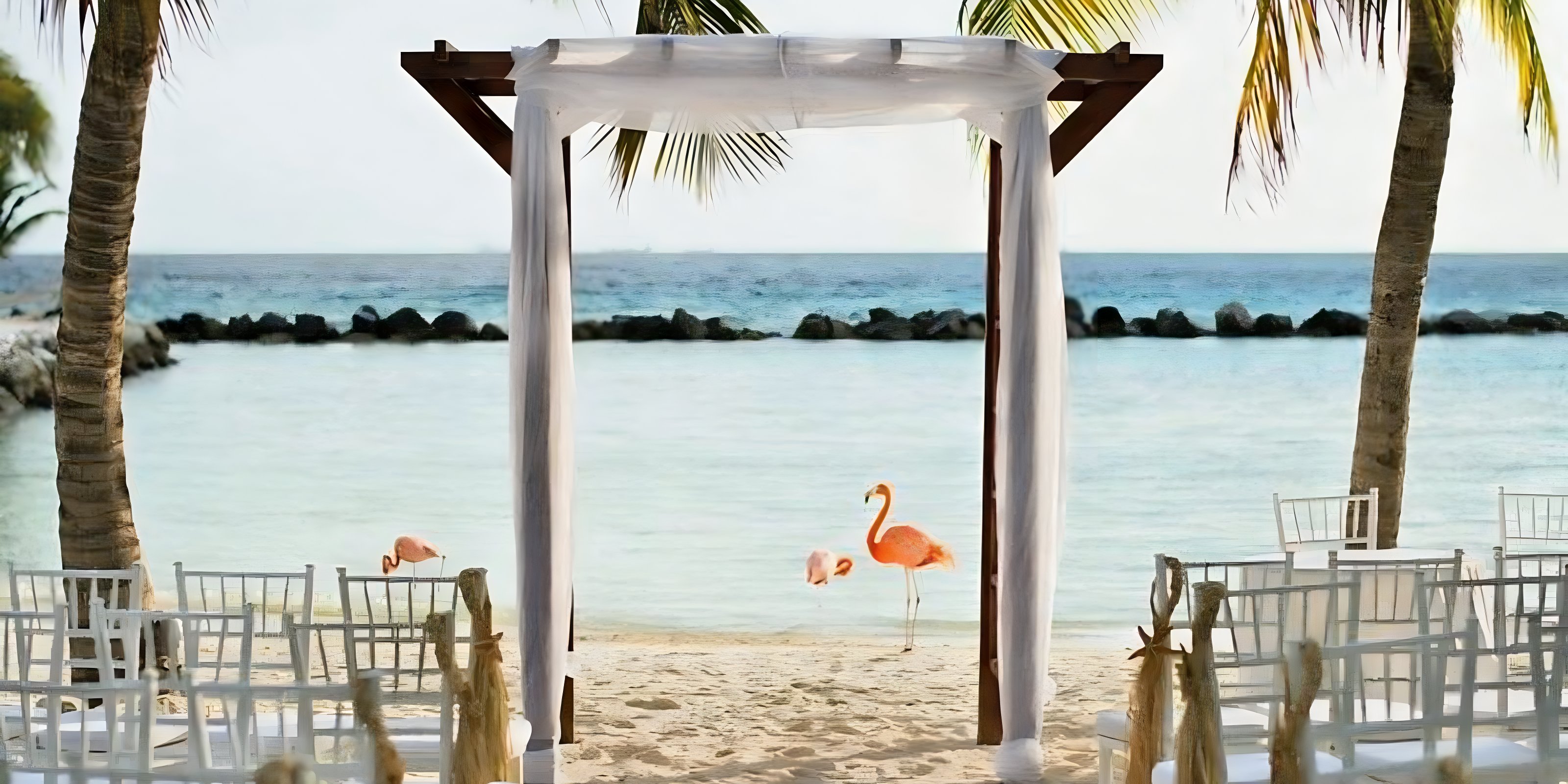 Renaissance Aruba Resort ️ Destination Weddings Destify