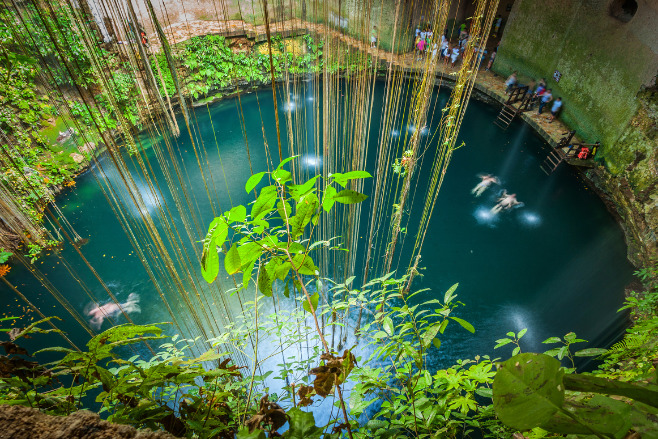 Aerial shot of the vines hanging over Cenote Ik Kil