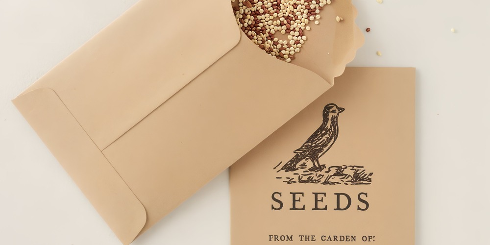 Brown envelope with seeds spilling out—an ideal favor for your destination wedding, adding a special touch to your wedding celebration.