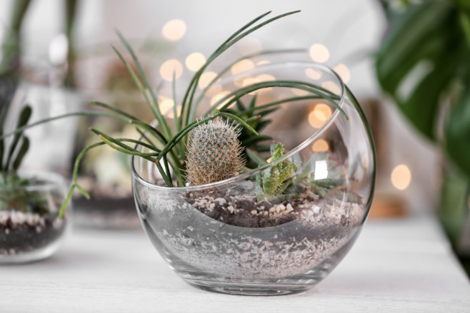 Mini succulent in a jar is a Destination Wedding Favor