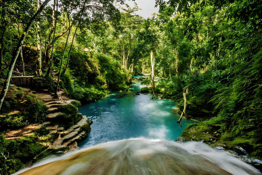 The Magic of Jamaica