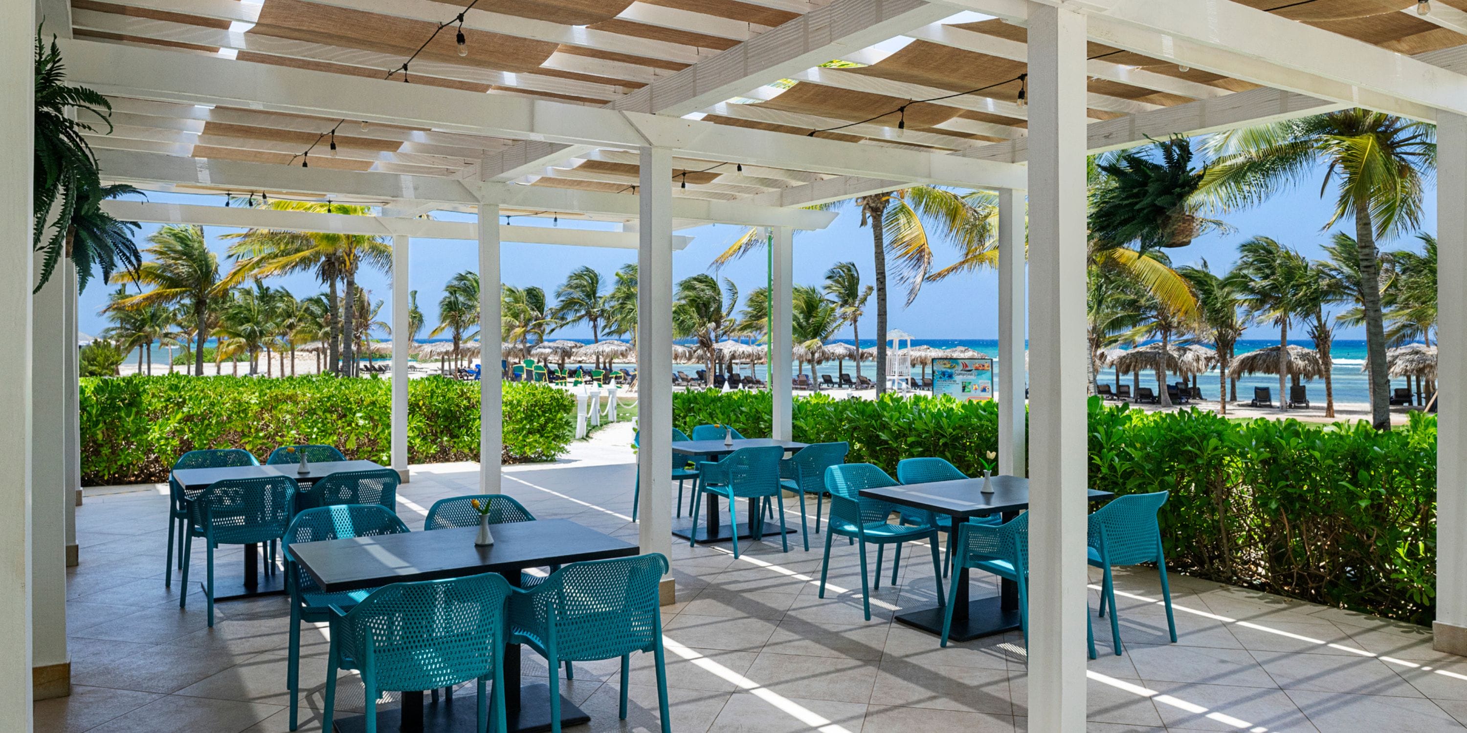 Open-air wedding dining at Ocean Coral Spring with blue chairs, palm trees, and beach views.