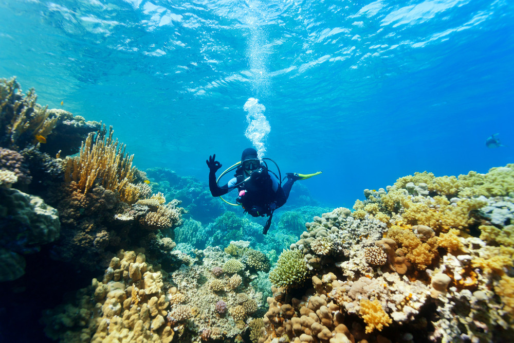 scuba diver giving an "ok" 