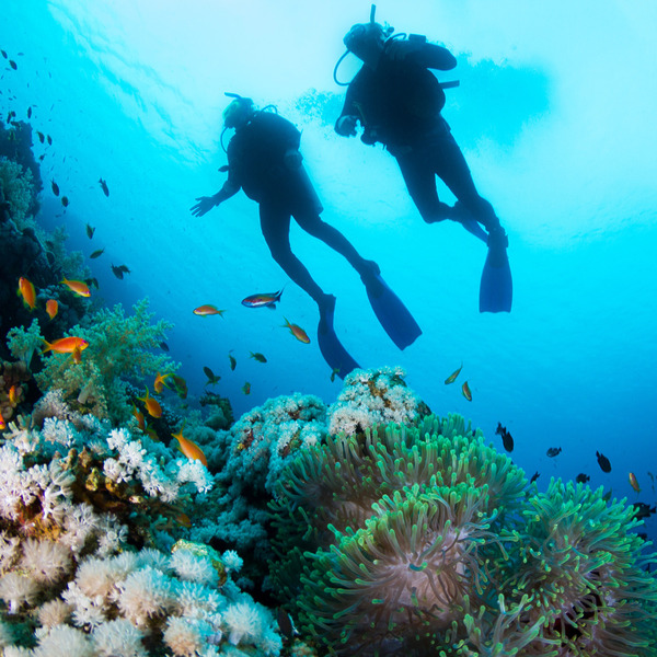5 of Our Favorite Scuba Diving Destinations and Where to Stay