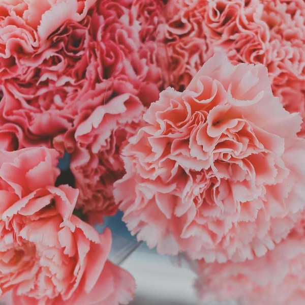 A Beginner&rsquo;s Guide to Wedding Anniversary Flowers