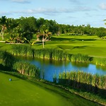 Scenic golf course with palm trees and a pond, perfect for a destination wedding under blue skies.