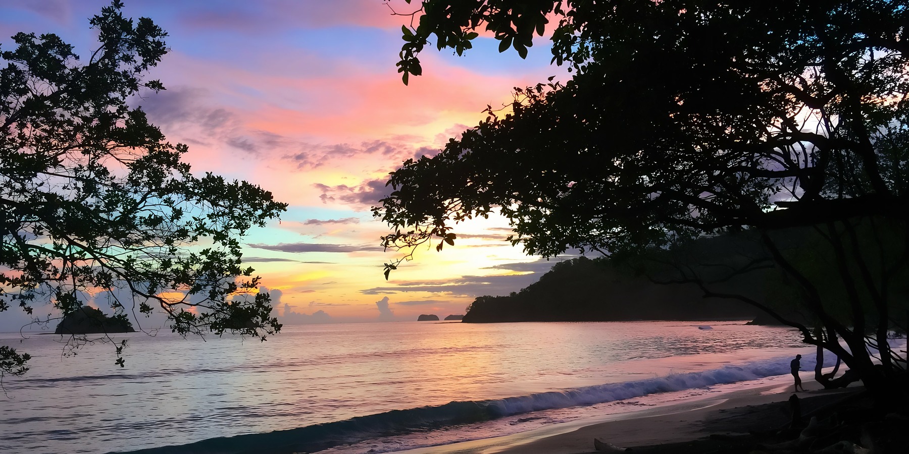 Sunset at a beach with pink and orange sky, silhouette of trees, and gentle waves in the foreground.