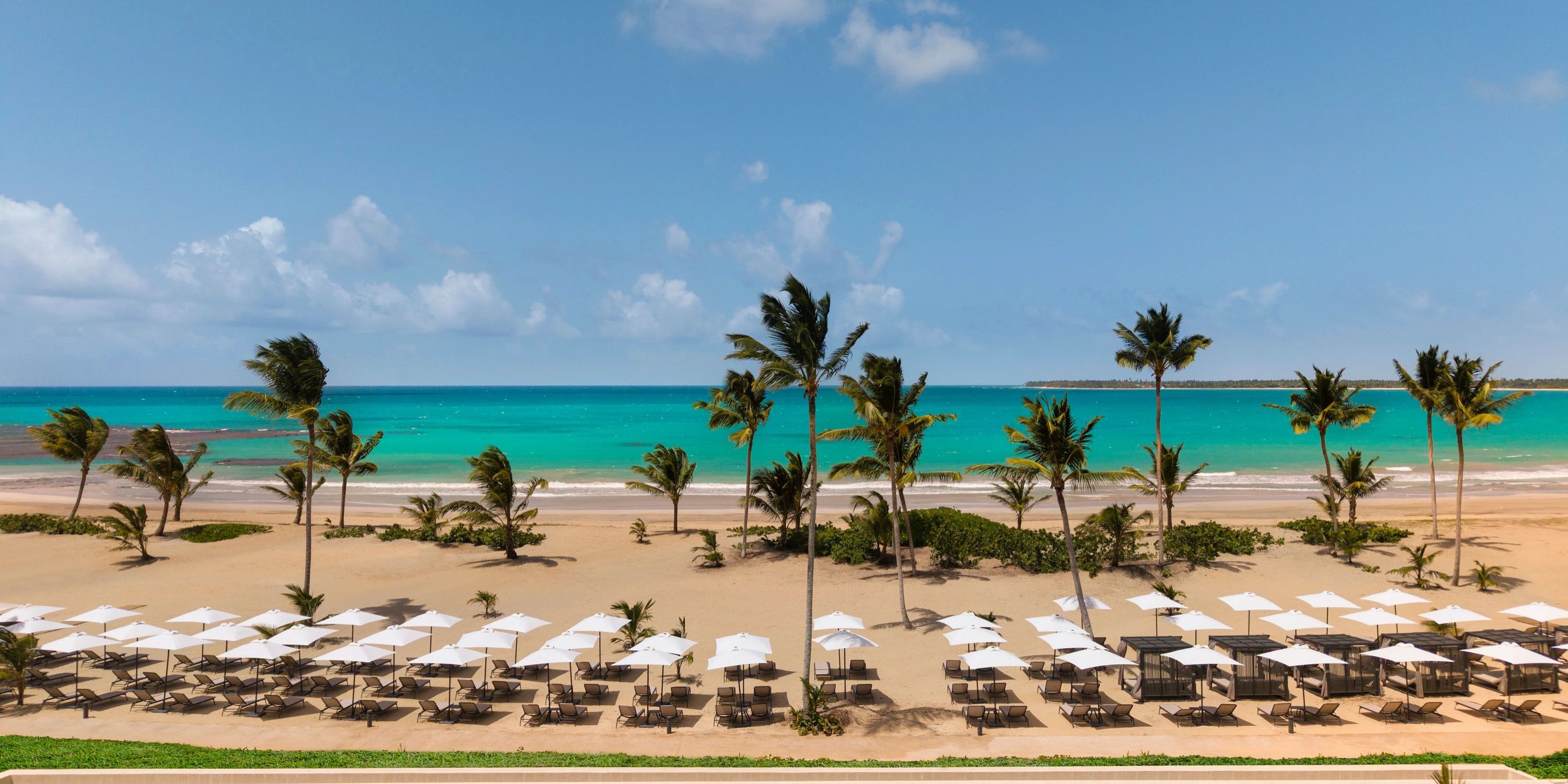 Palm trees, sandy beach, and loungers with umbrellas at Secrets Playa Esmeralda, ideal for a wedding.