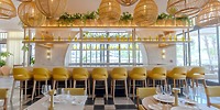 UNICO 20°105° Riviera Nayarit bar—perfect for a destination wedding—with yellow chairs and plants.