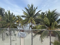 Nancy and David’s destination wedding: Palm trees sway over a sandy beach, with a glass railing framing the scene and the ocean stretching out in the background.
