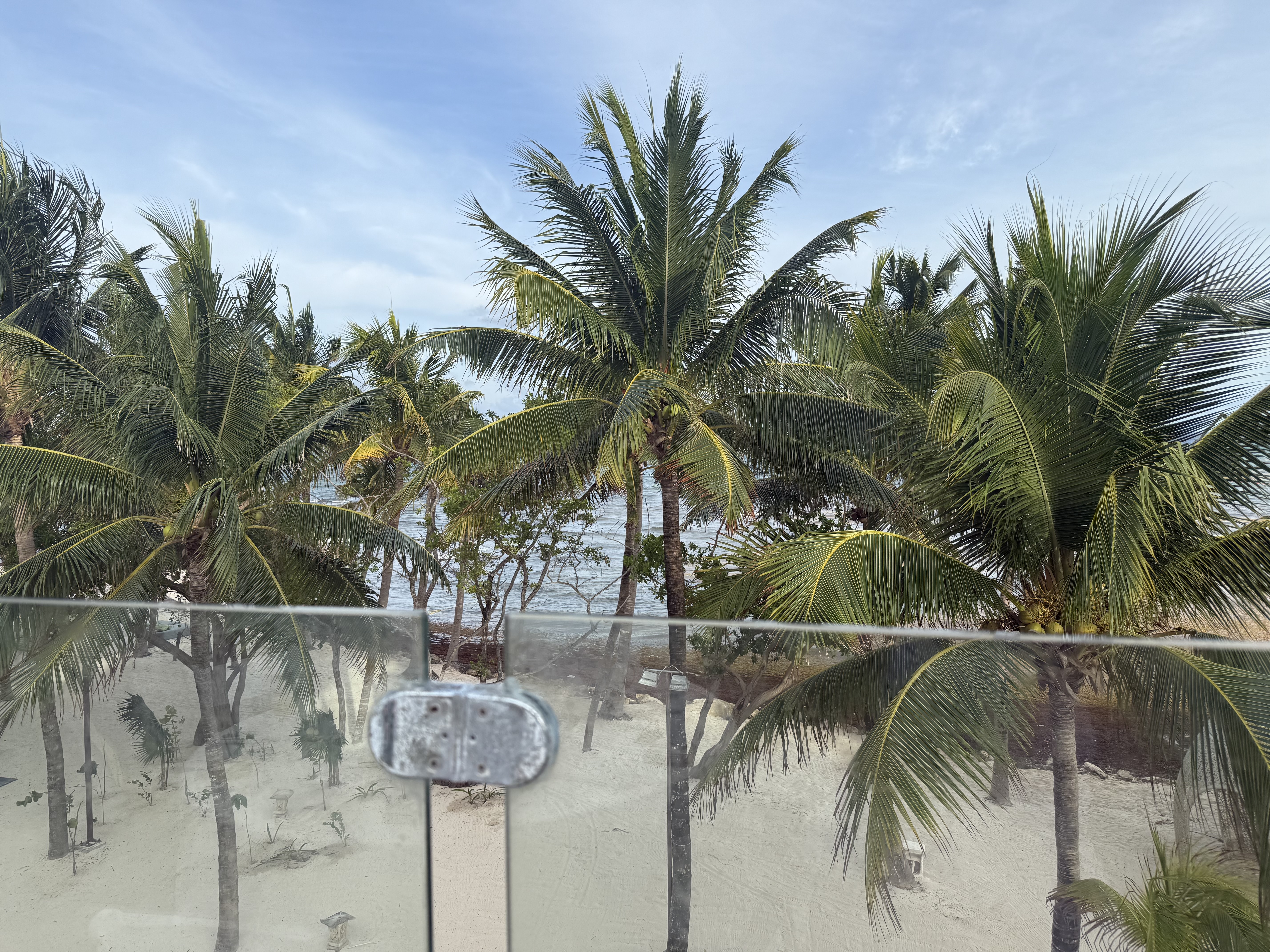 Nancy and David’s destination wedding: Palm trees sway over a sandy beach, with a glass railing framing the scene and the ocean stretching out in the background.