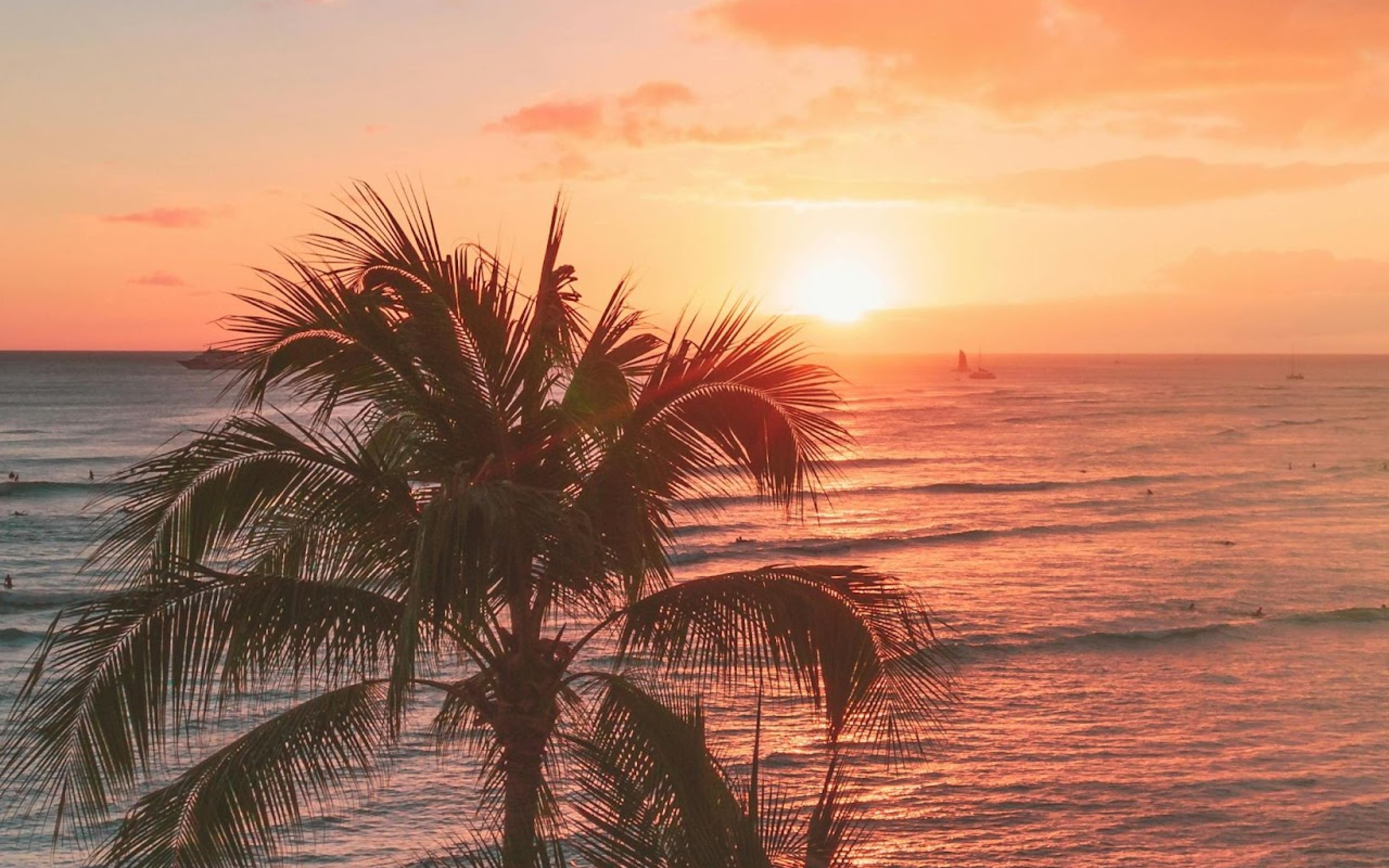 A breathtaking sunset over the ocean sets the scene for a dreamy destination wedding, with palm trees framing the view and a sailboat drifting on the distant horizon.