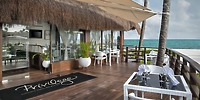 Ocean Coral and Turquesa: The perfect destination wedding venue, featuring outdoor dining under a charming thatched roof, elegant glass doors, and breathtaking ocean views.