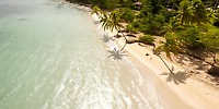 Bahia Principe Grand Samana: aerial view of a stunning destination wedding beach with palms and clear water.