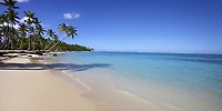 Palm trees line the beach at Bahia Principe Grand Samana, a stunning destination wedding location.