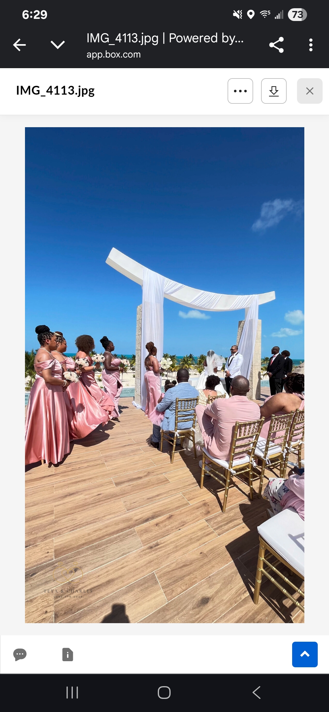 Iyana and Marcello's destination wedding outdoors, bridesmaids in pink, guests beneath a blue sky.