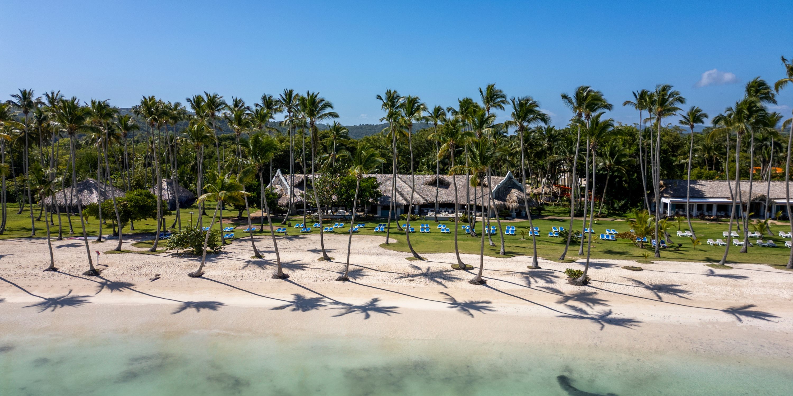 Wyndham Alltra Punta Cana: ideal destination wedding spot with sandy beach, palm trees, and blue sky.