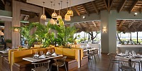 Wyndham Alltra Punta Cana: a dreamy destination wedding spot with yellow booths, lush plants, and views.