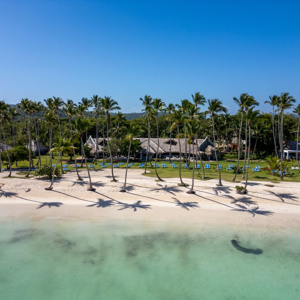 A tropical beach set for a destination wedding, with palm trees, clear water, and lounge chairs on sand.