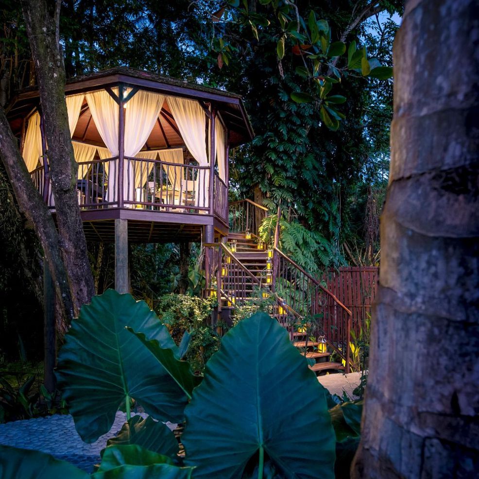 Treehouse set for a destination wedding, draped curtains and glowing stairs, amid lush tropical plants at dusk.