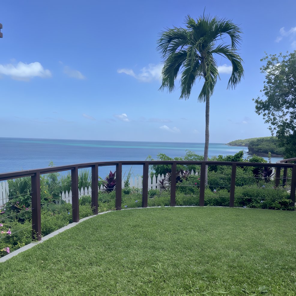 A grassy yard with a palm tree overlooks the ocean, an idyllic spot for a destination wedding.