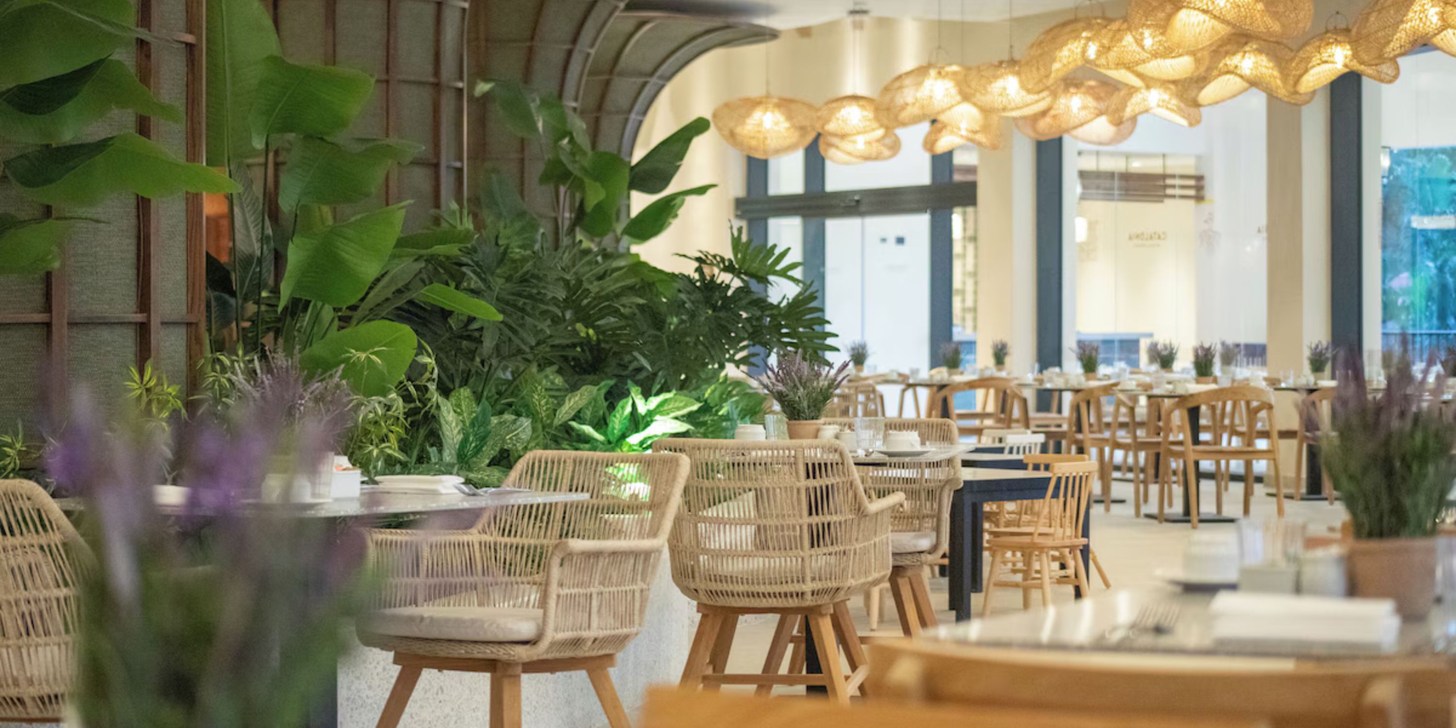 Catalonia Bayahibe offers a wedding vibe with wicker chairs, green plants, and hanging woven lights.