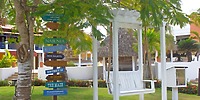 White swing near a tree with colorful signs in a garden, perfect for a destination wedding at Catalonia Bayahibe.