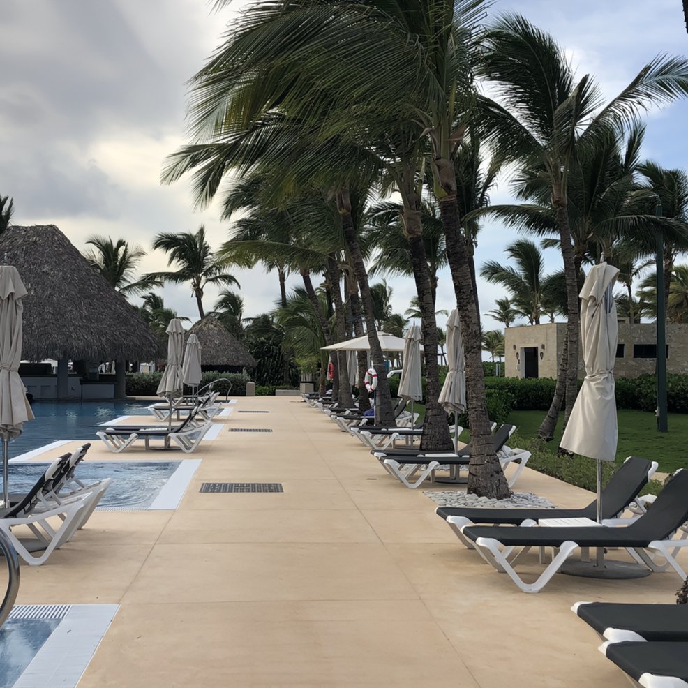 Empty lounge chairs and closed umbrellas line a walkway by palm trees, perfect for a destination wedding.