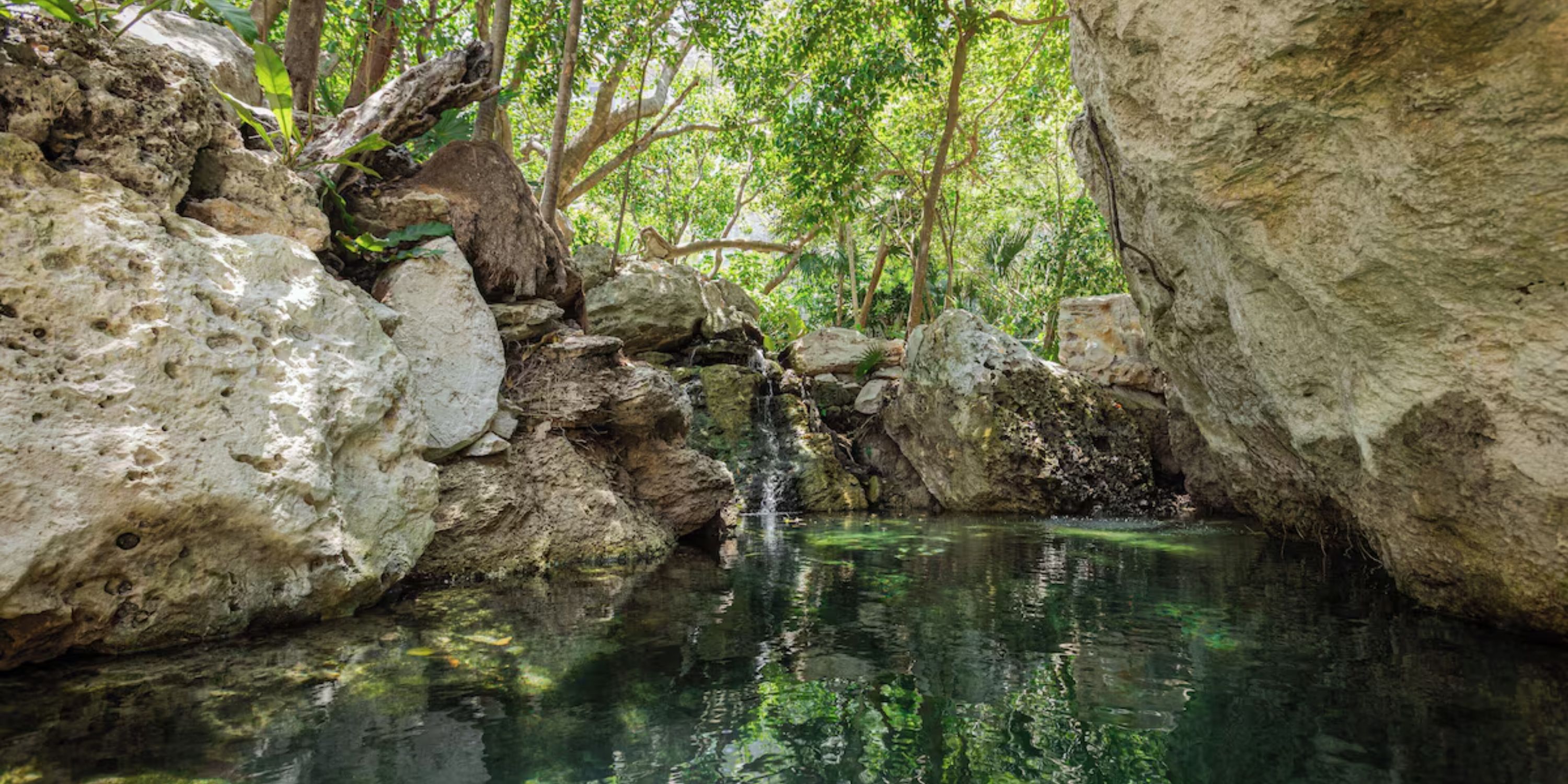 Sandos Playacar features a clear water pool with rocks and trees, perfect for a destination wedding.