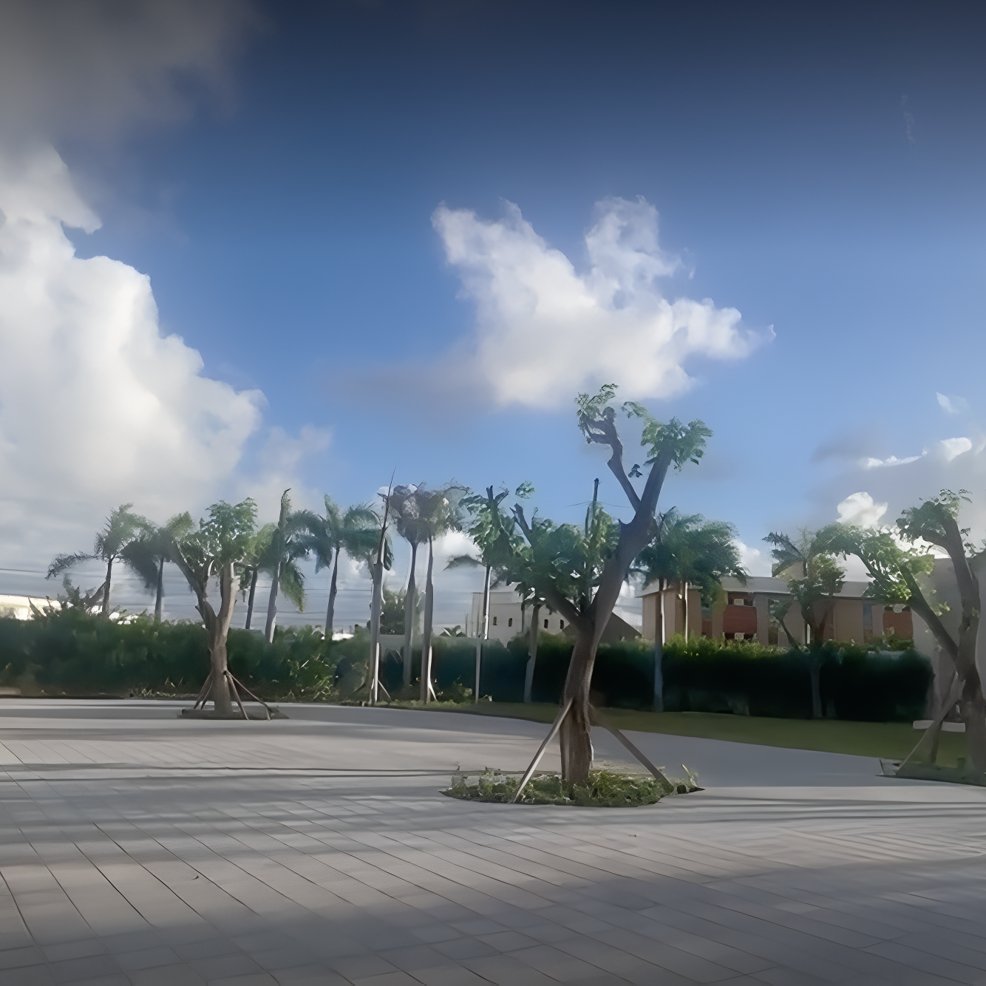 Open paved area with manicured trees and bushes, ideal for a destination wedding, under a cloudy sky.