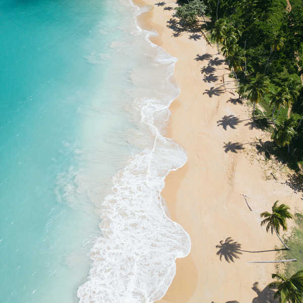 Aerial view of turquoise waves washing onto a sandy beach lined with palm trees, perfect for a destination wedding.
