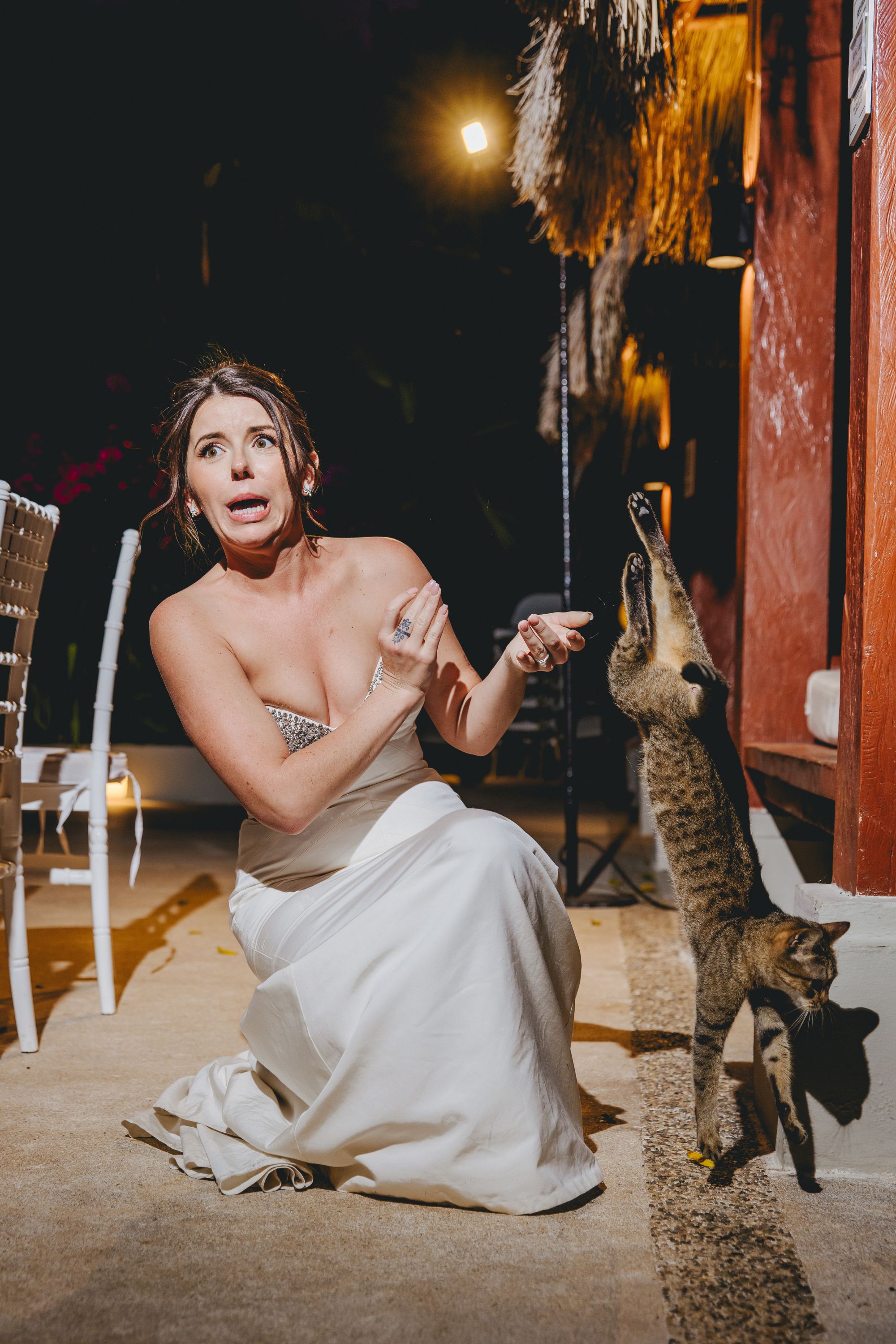 At a destination wedding, bride in white dress reacts as a cat jumps near her during the outdoor evening.