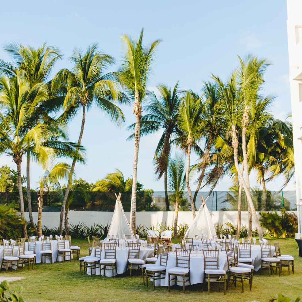 Destination wedding arrangement featuring white chairs and tables beneath palm trees on a bright sunny day.